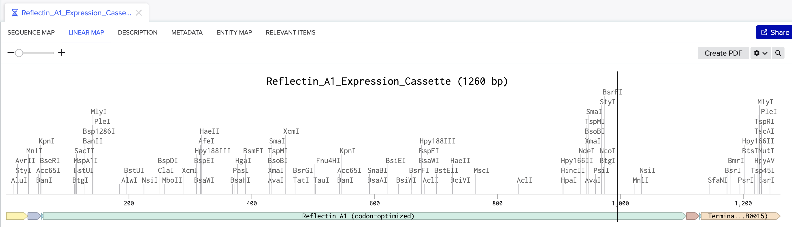 Expression cassette linear map