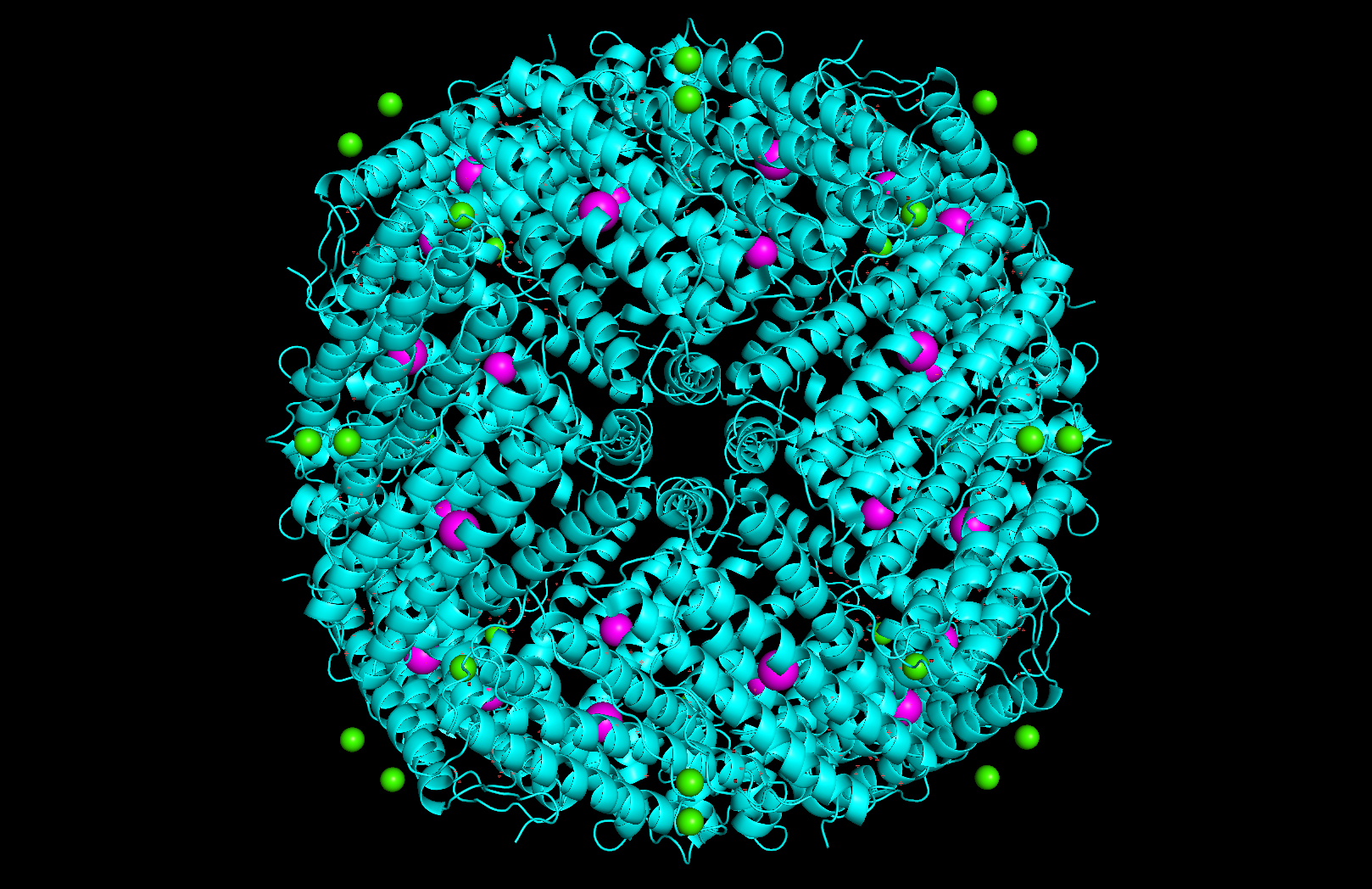 24-mer assembly with iron (magenta) and calcium (green) ions