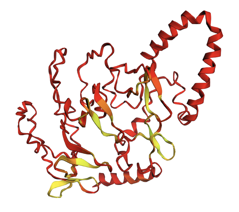 Alanine segment mutation