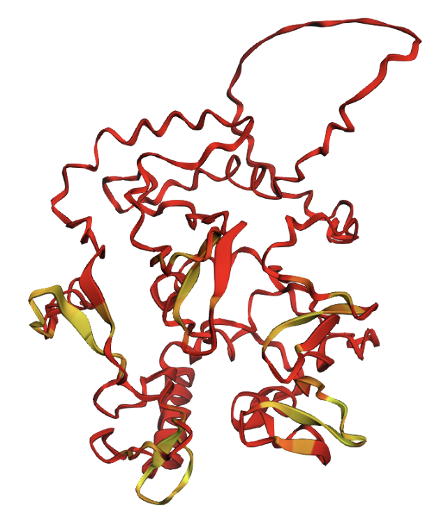 Glycine segment mutation