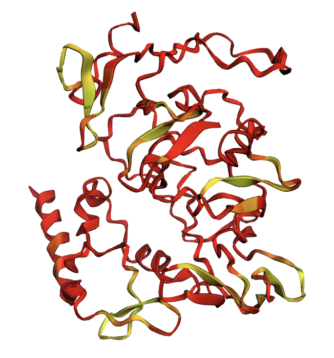 ESMFold prediction of Reflectin A1 colored by pLDDT