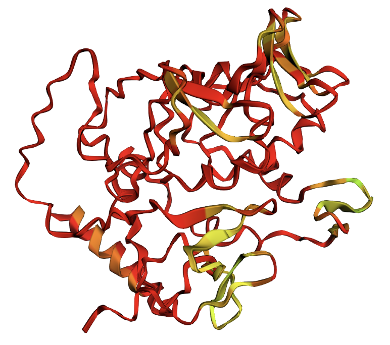 W81A mutation