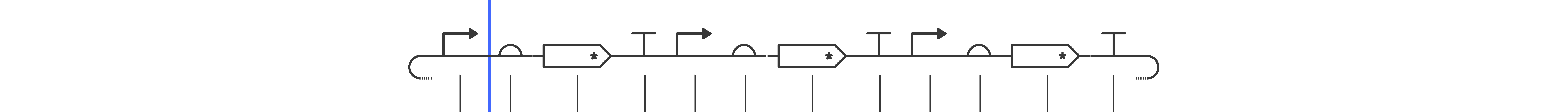 Repressilator construct