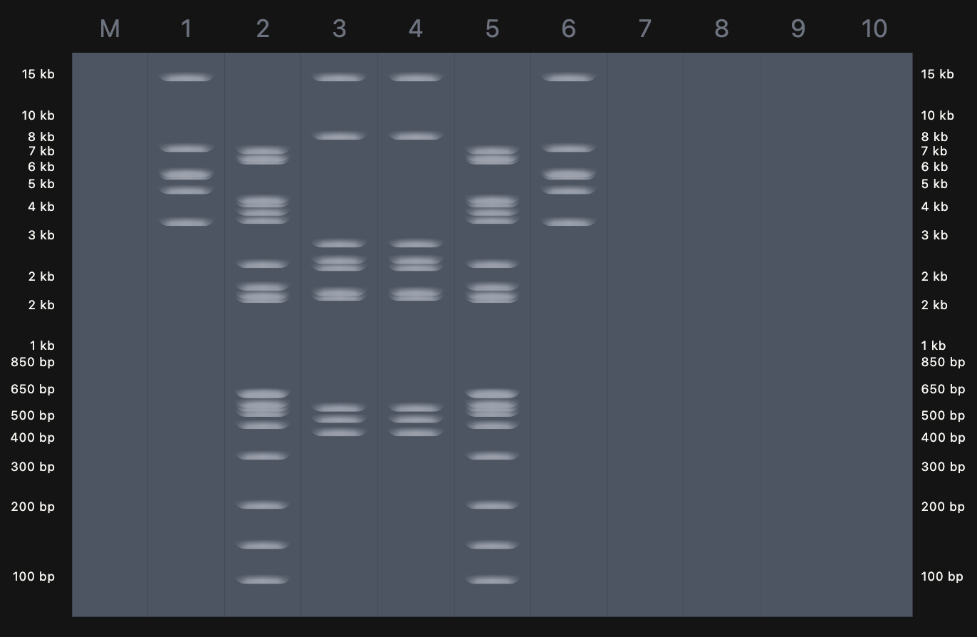 Design using Ronan&rsquo;s website