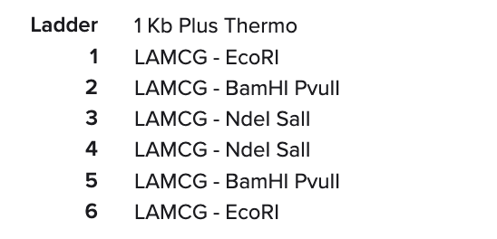 Lane assignments