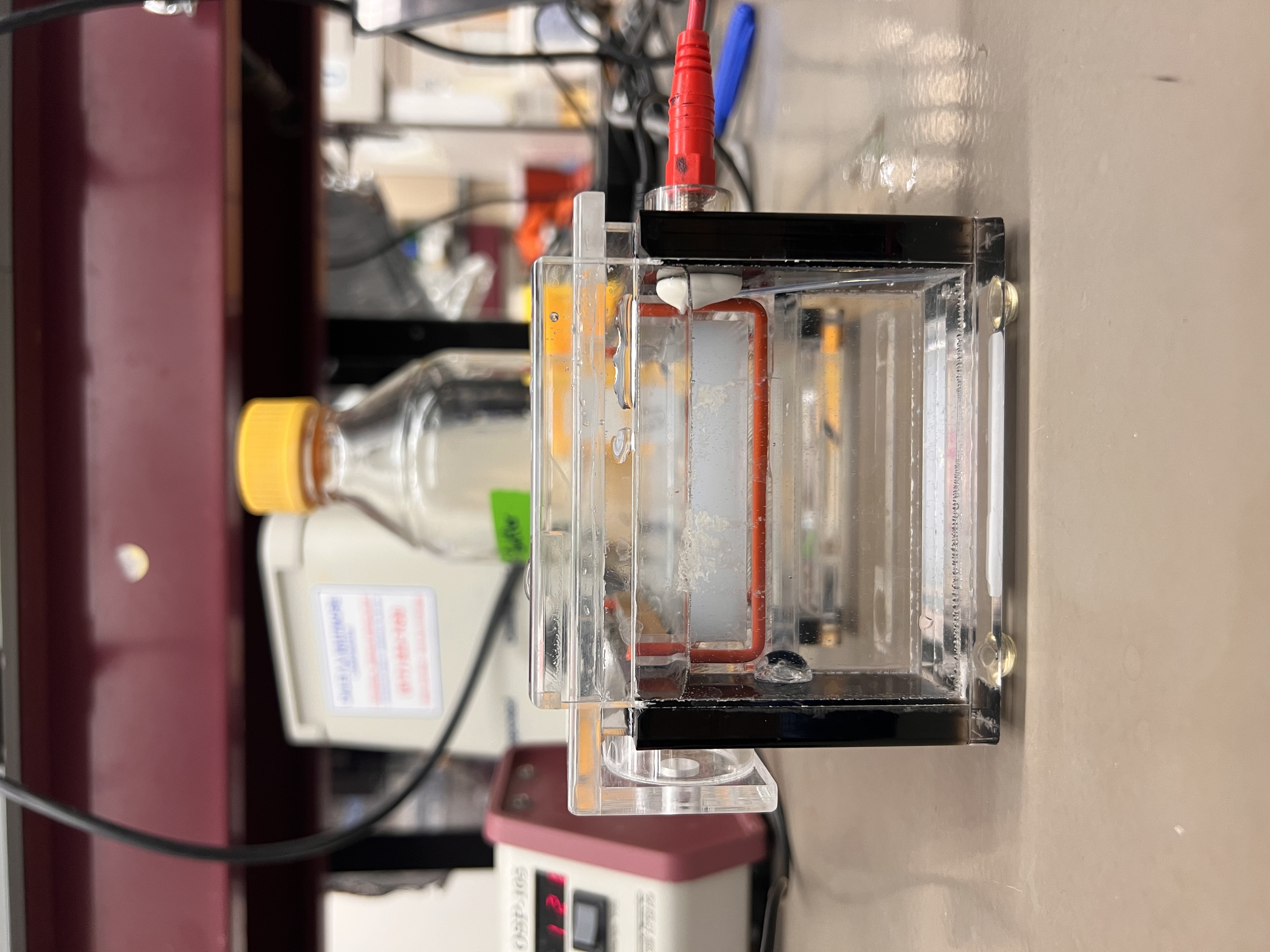 Gel electrophoresis running