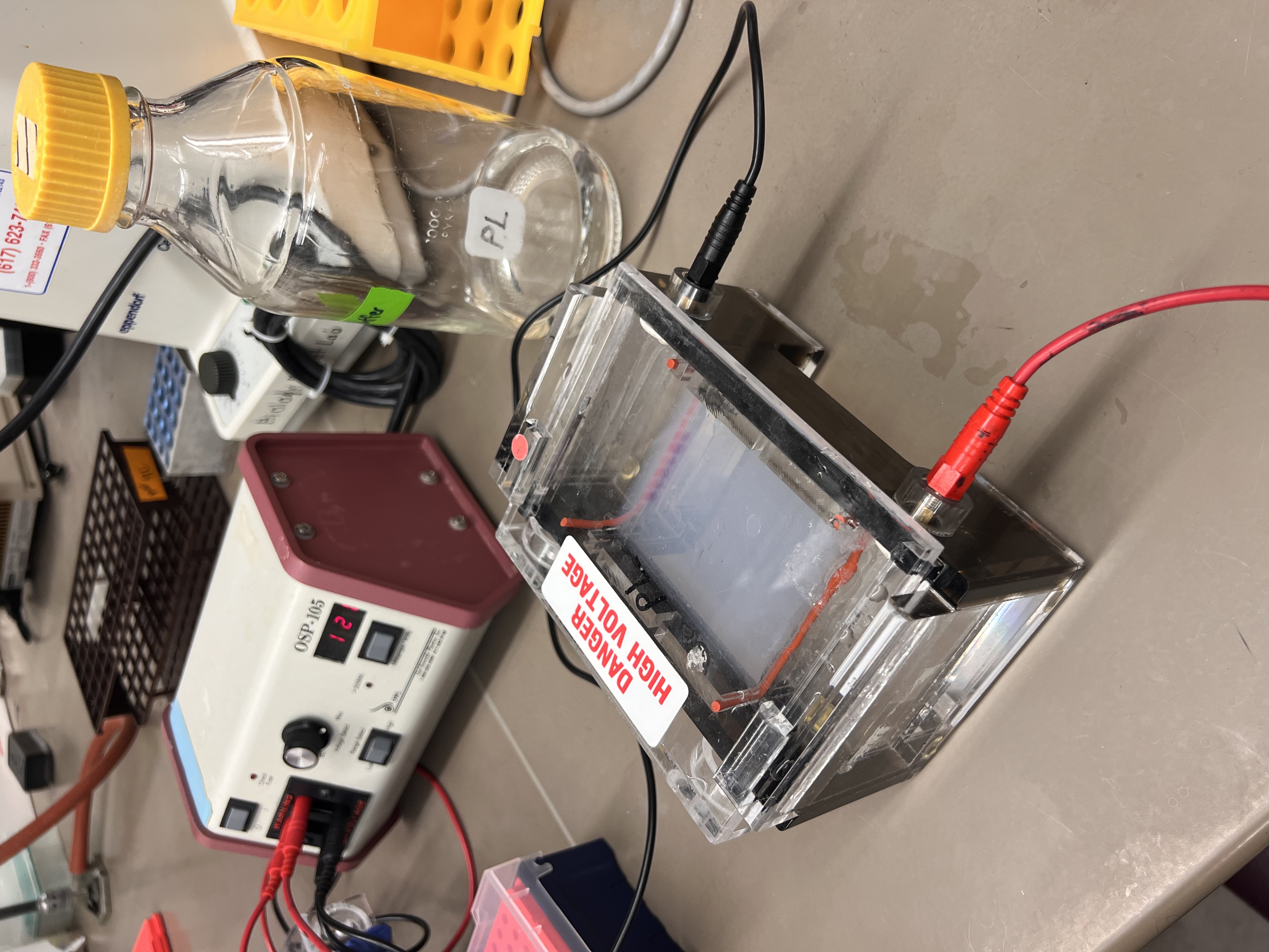 Gel electrophoresis running