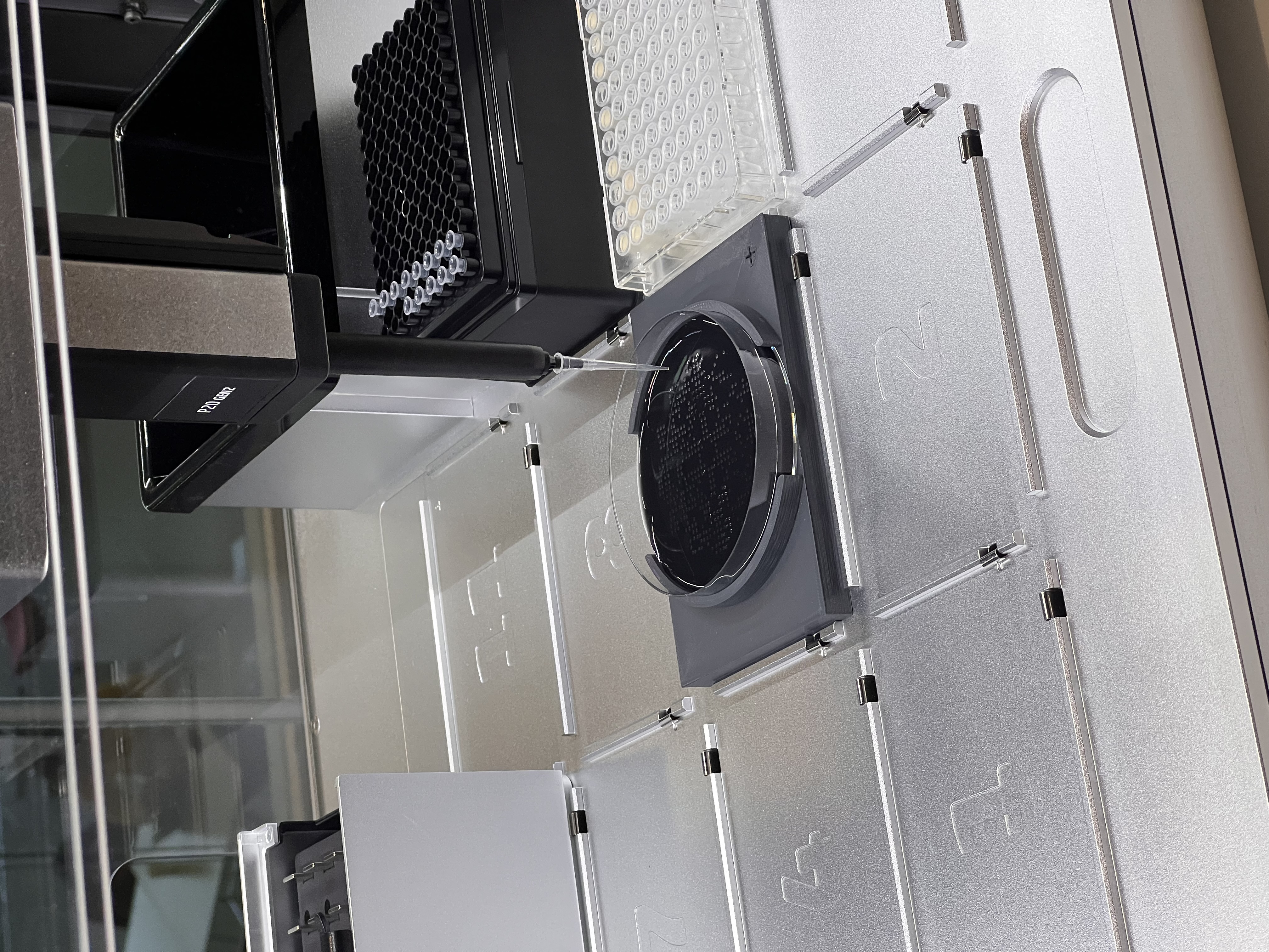 Opentrons OT-2 dispensing onto the agar plate