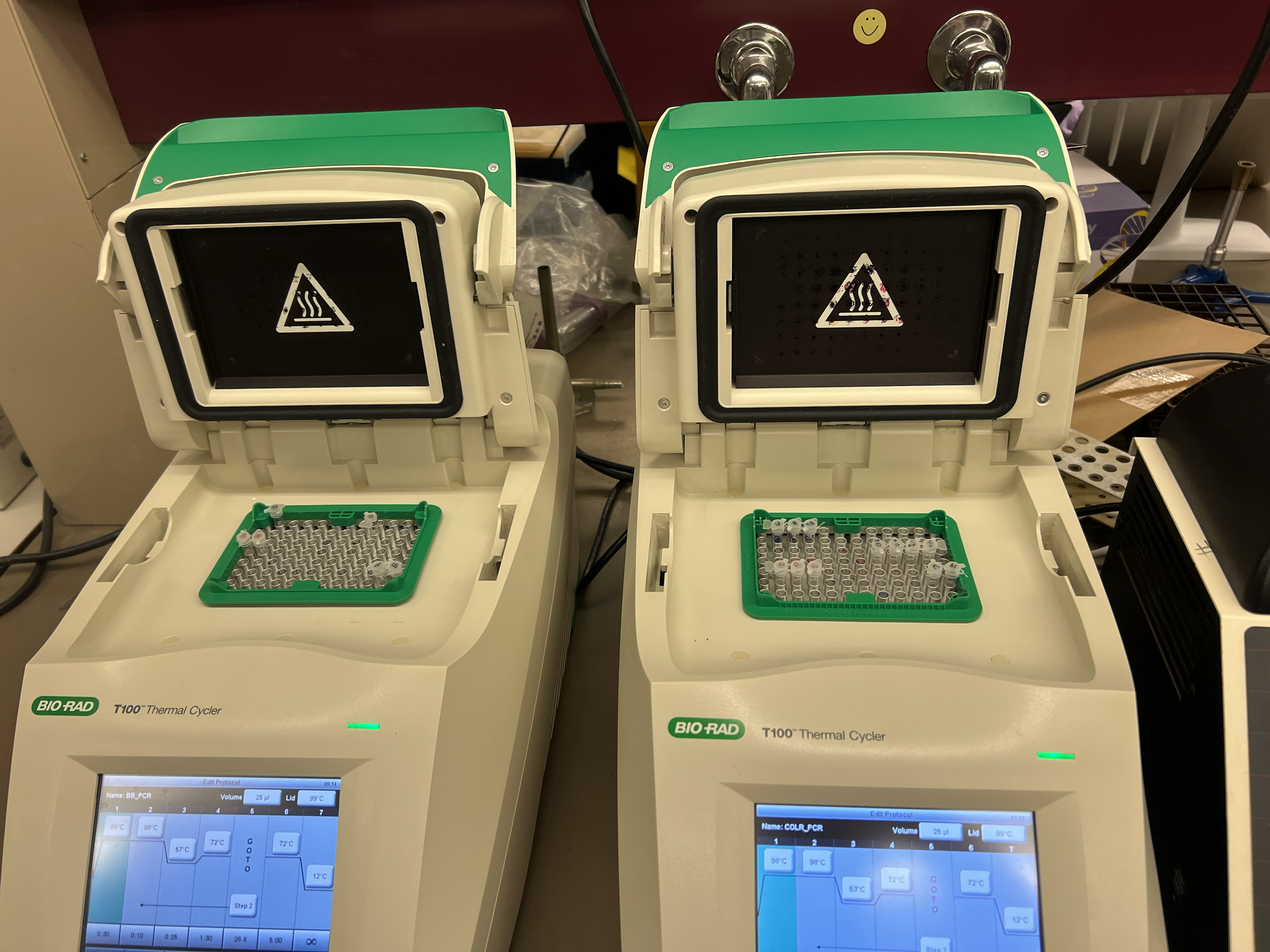 Two Bio-Rad T100 thermocyclers running BB_PCR (left) and COLR_PCR (right) simultaneously