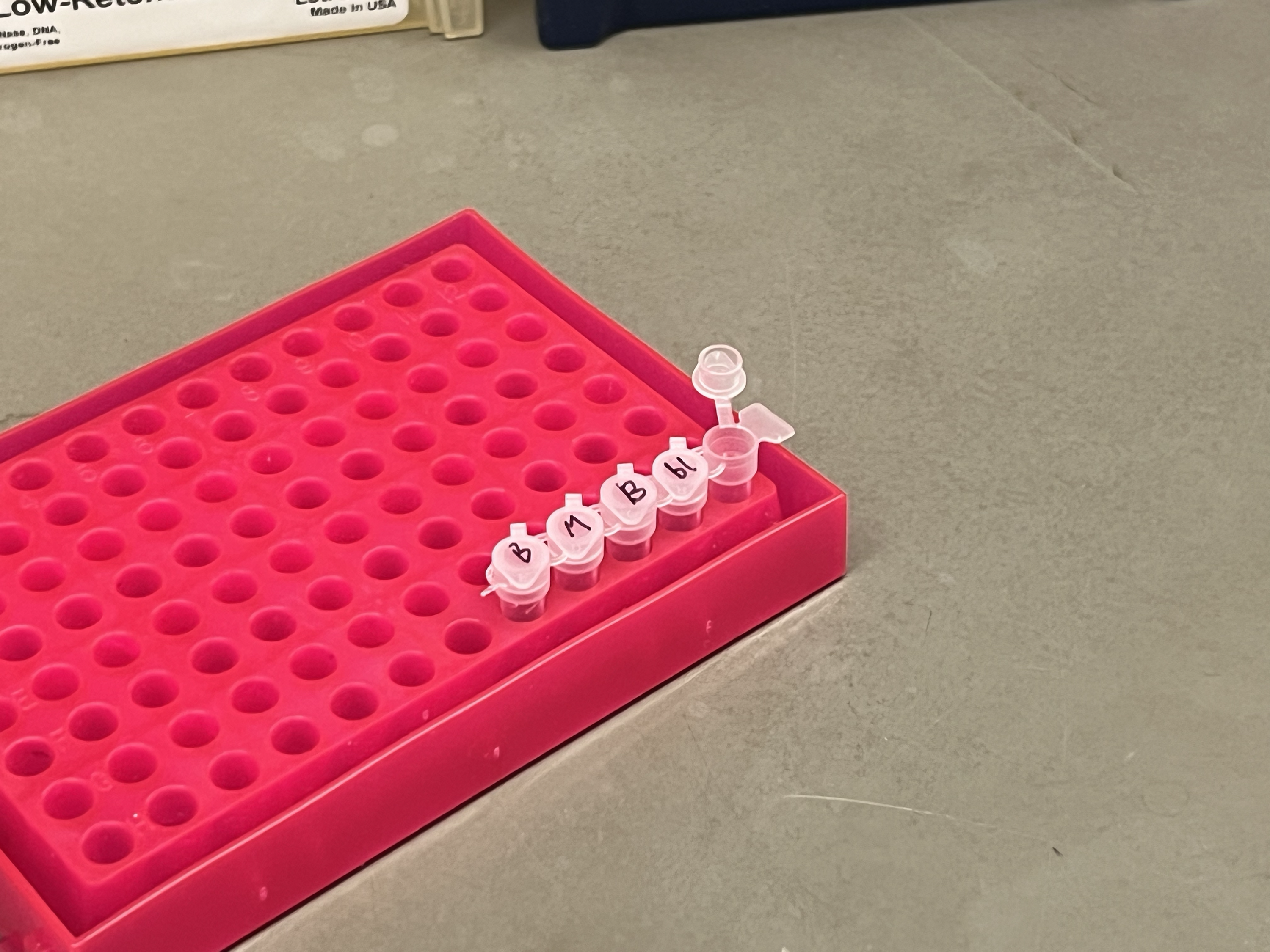 Labeled PCR tubes