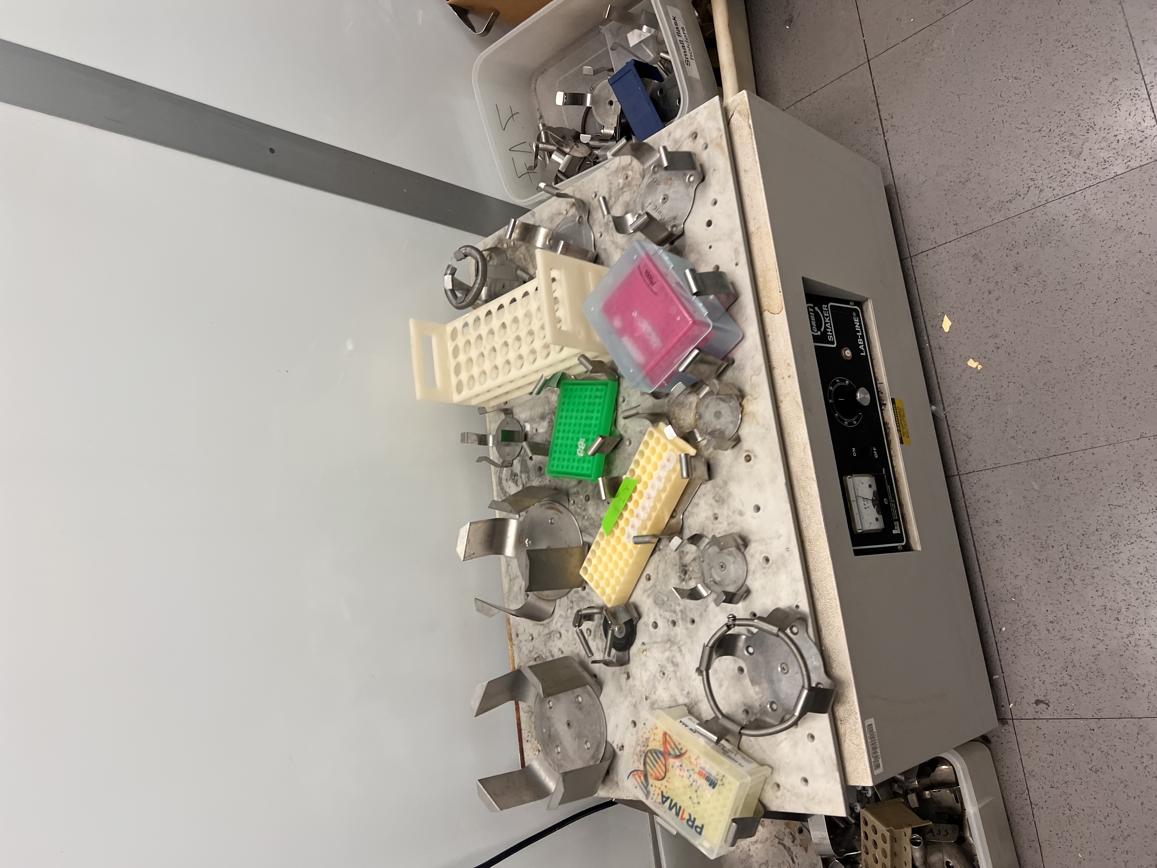 Tubes recovering in SOC media on orbital shaker for 60 minutes post heat shock