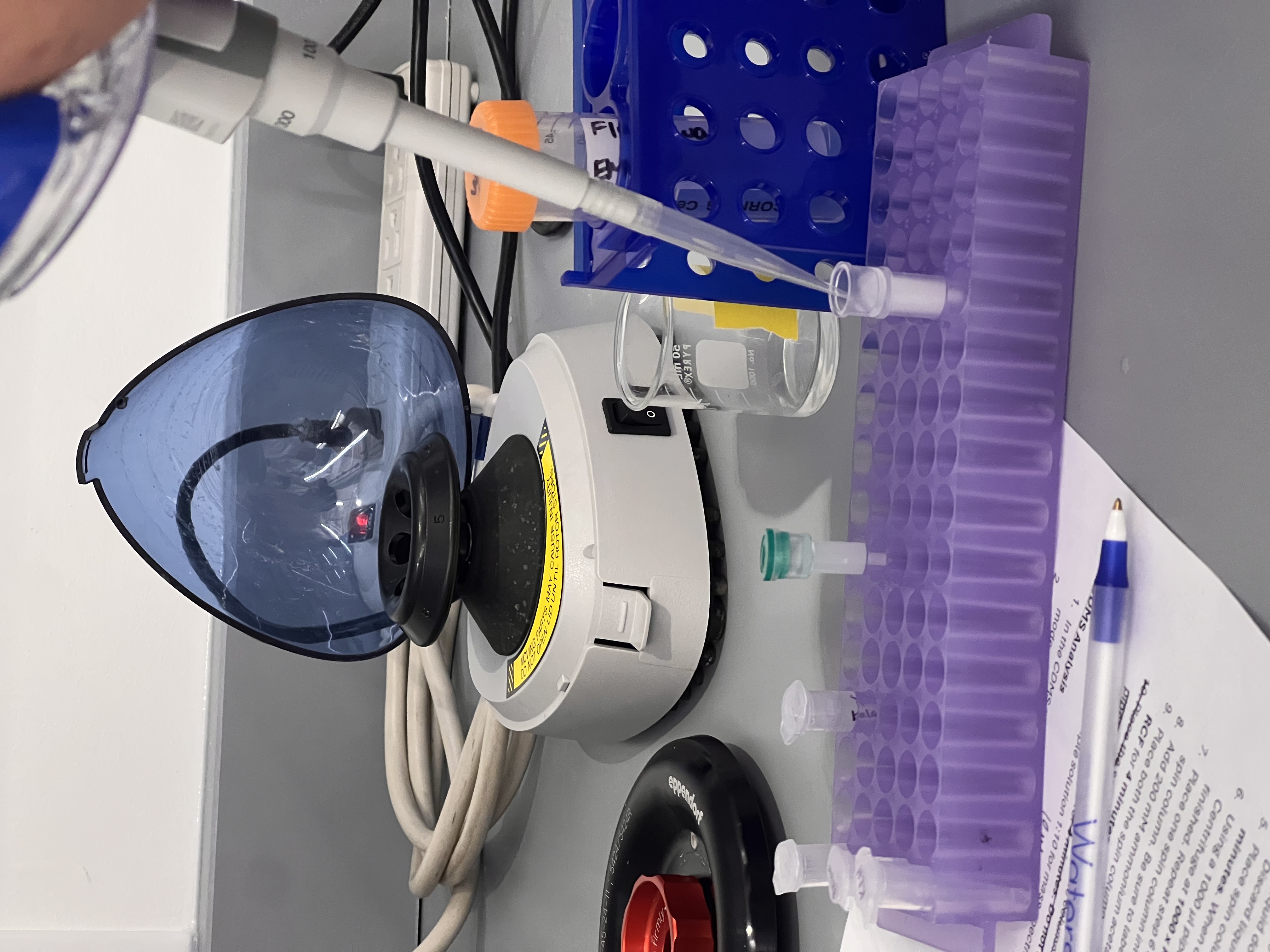 Spin columns in the mini centrifuge for the wash steps