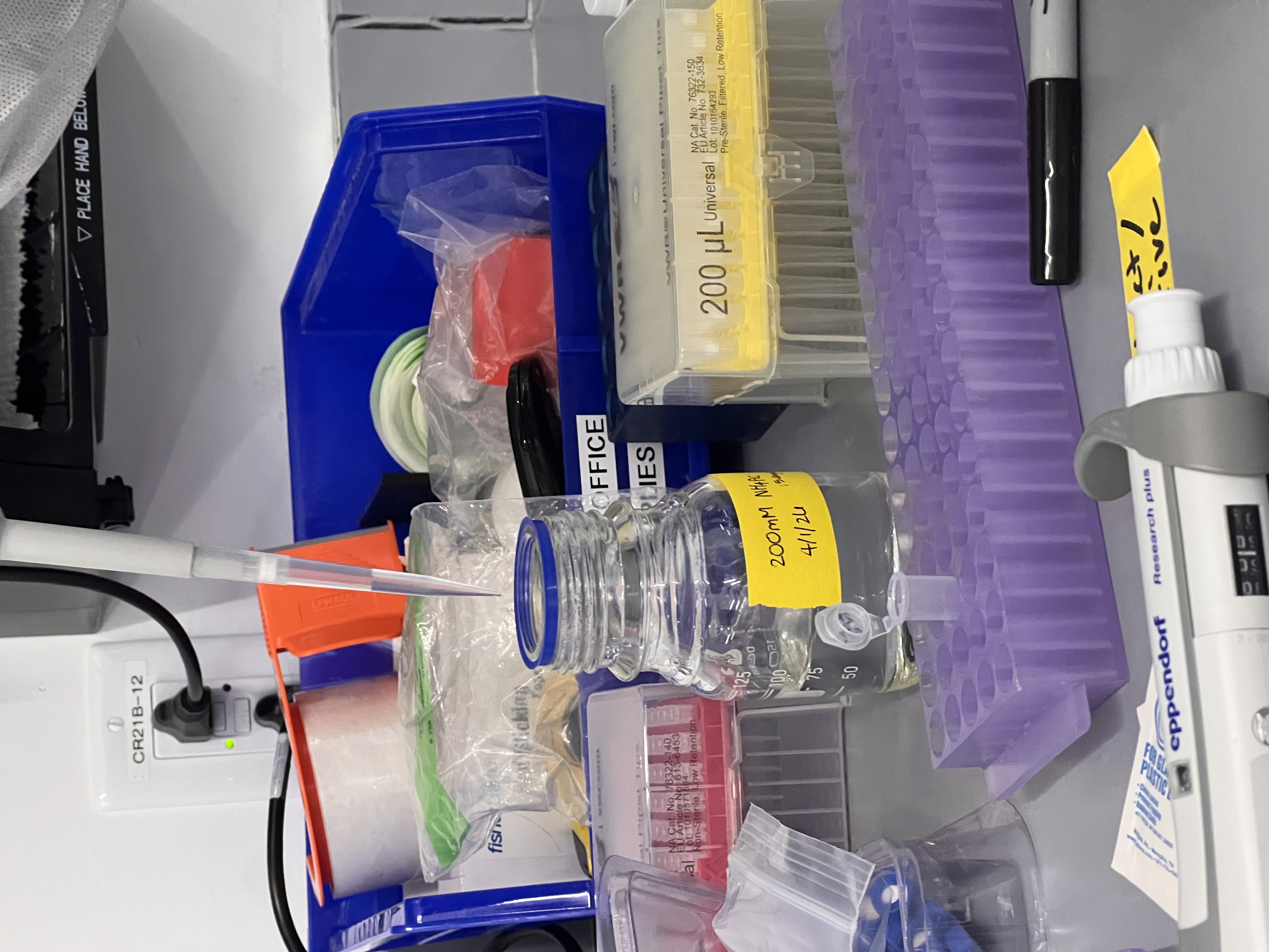 Pipetting ammonium acetate into sample rack