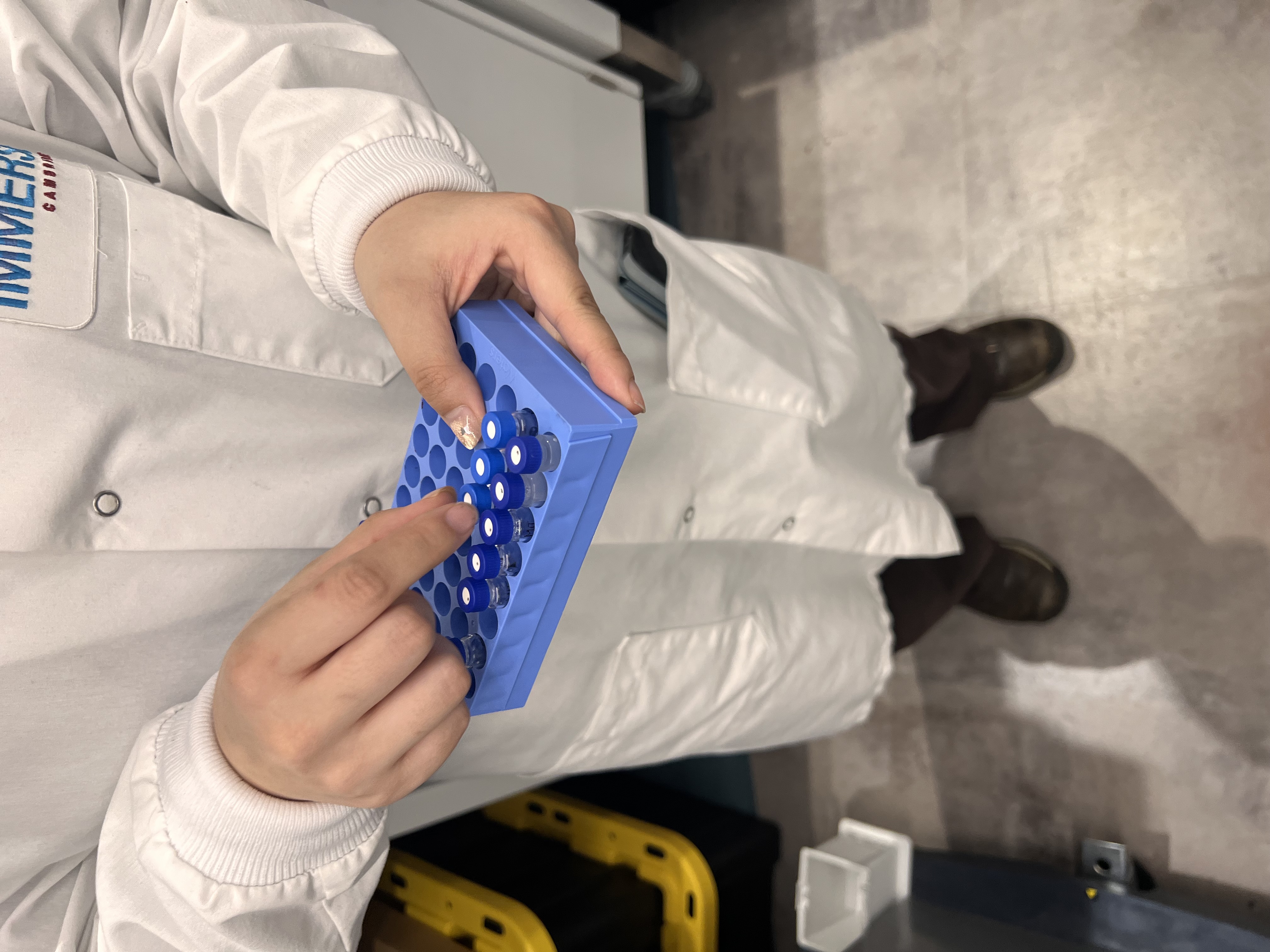 Autosampler vials ready for the instruments