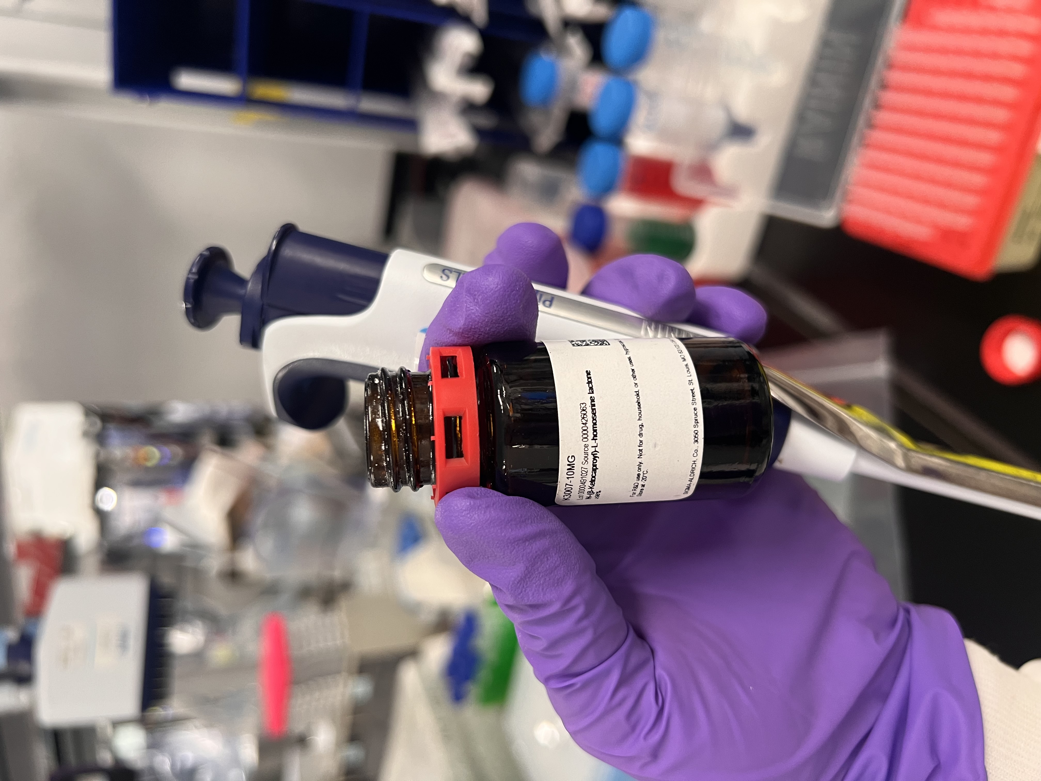 Dissolving AHL in DMSO