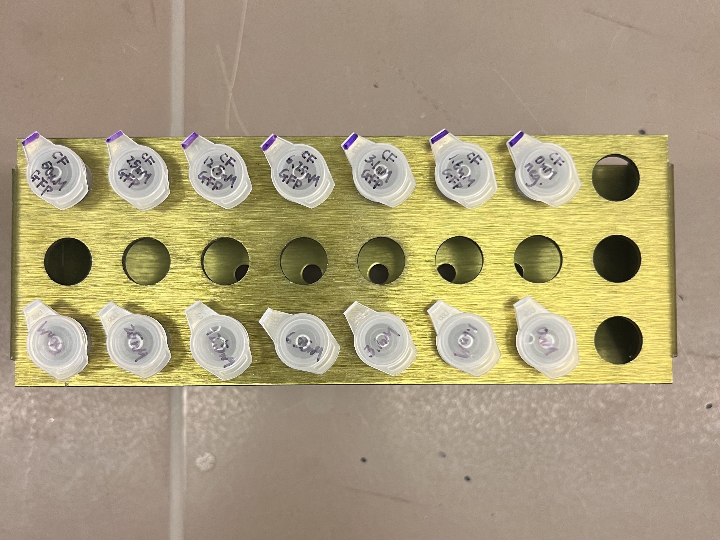 Cell-free reactions in PCR tubes
