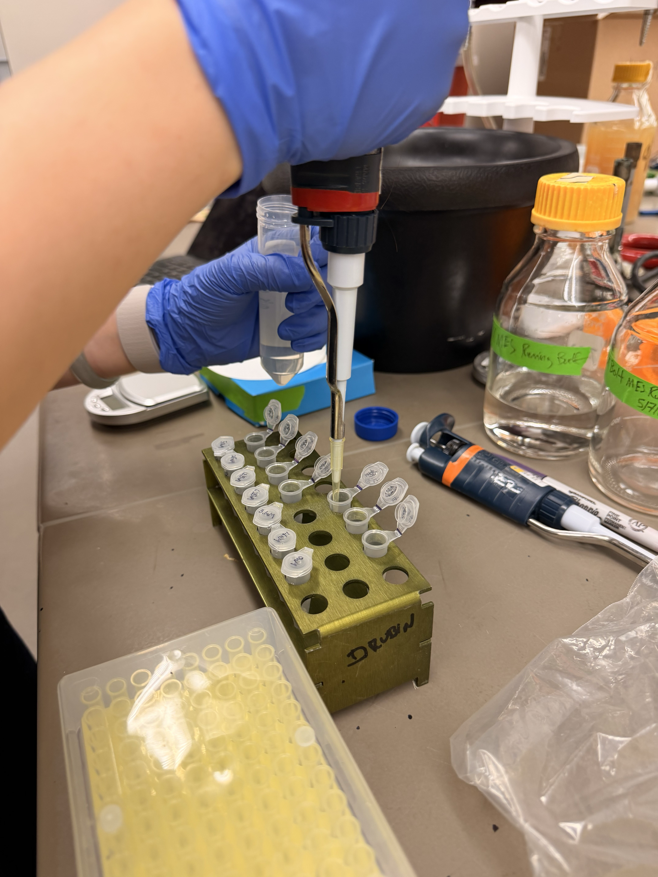 Cell-free reaction preparation