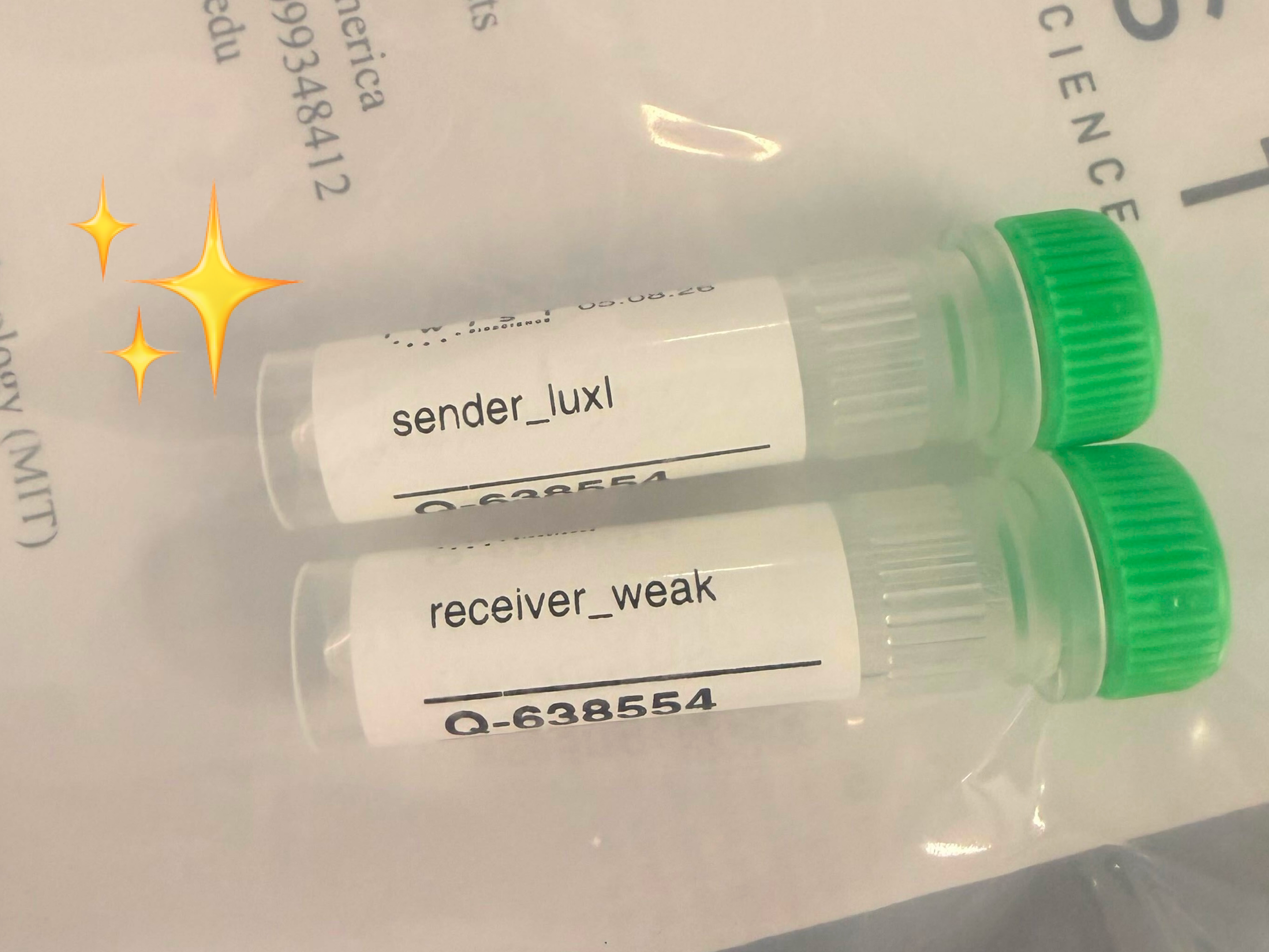 Twist DNA delivery