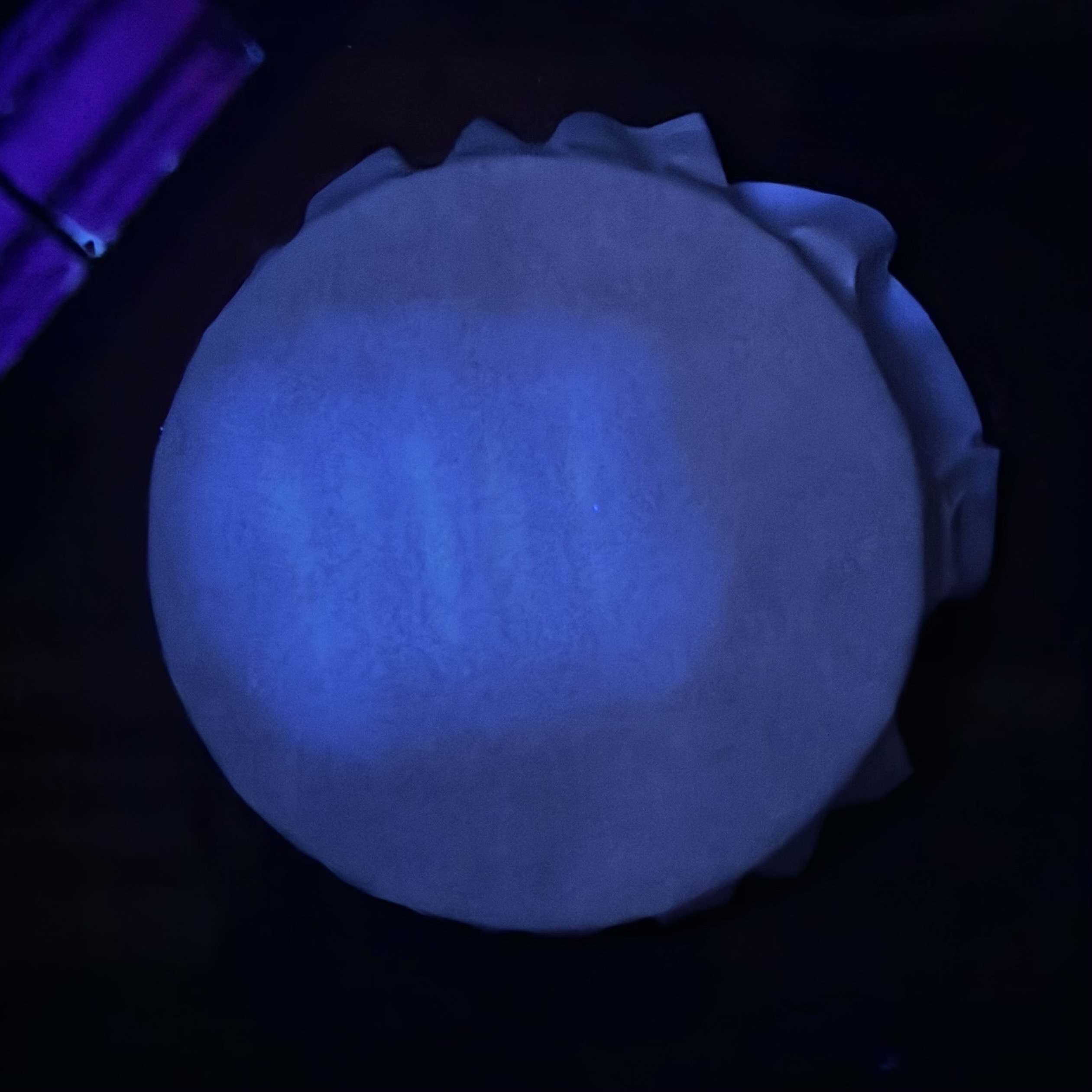 Faint fluorescence at 22 hours