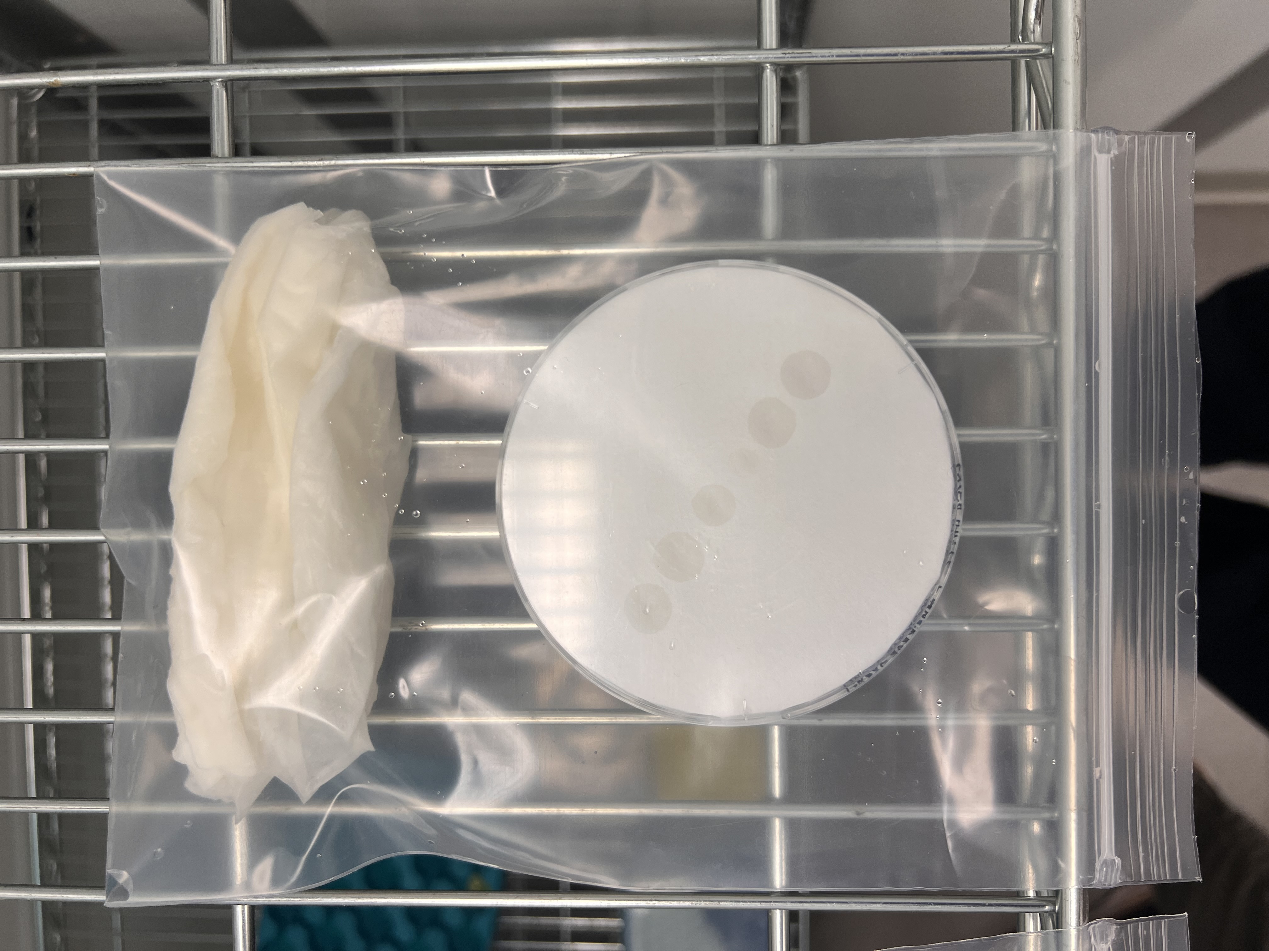 Humidity chamber setup