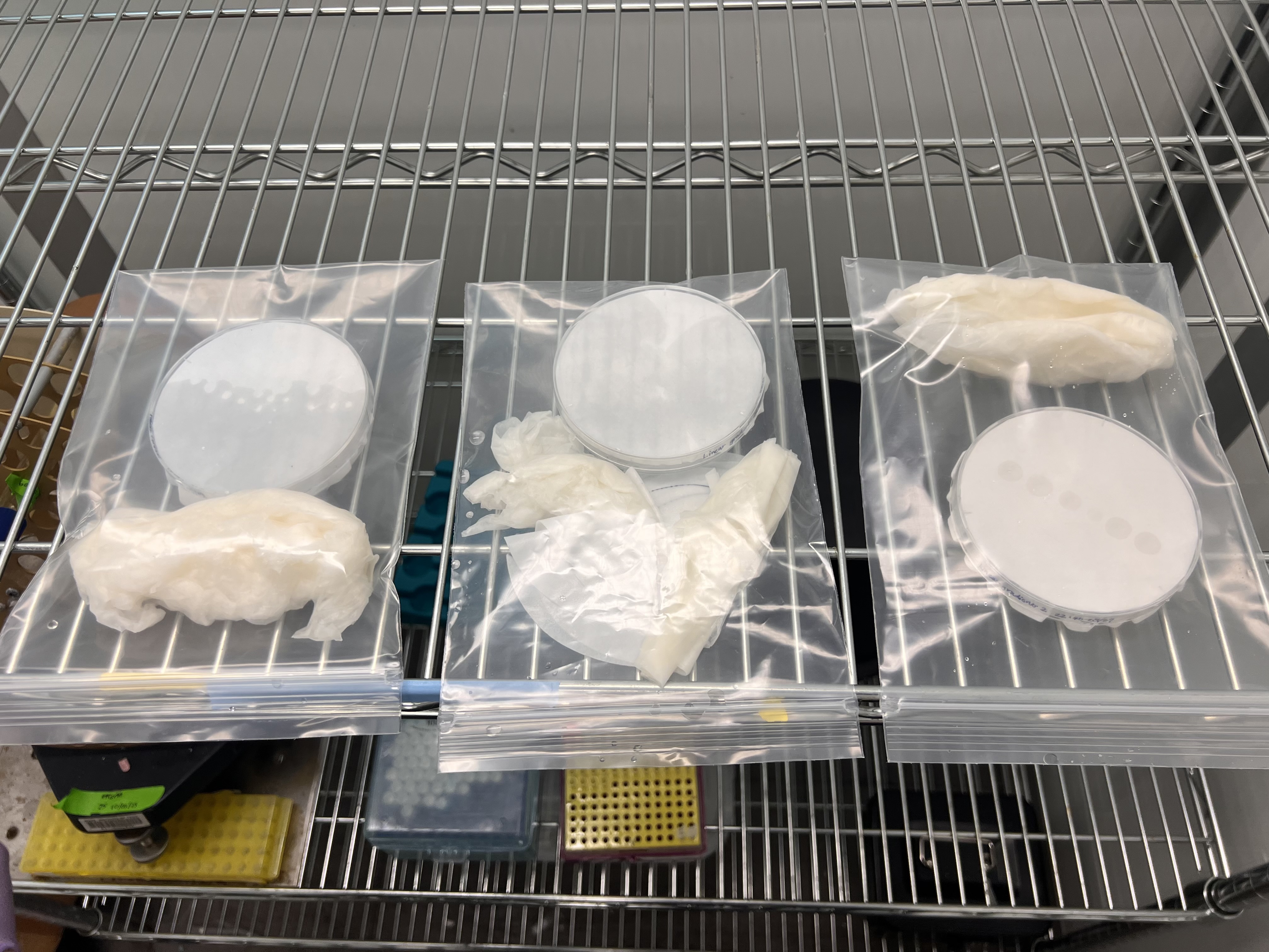 Humidity chamber in incubator