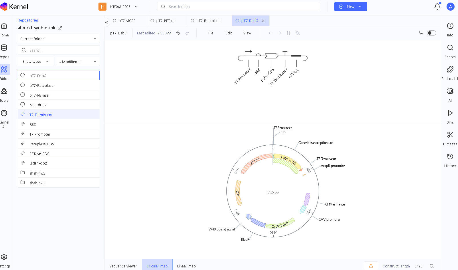 DsbC Helper Plasmid