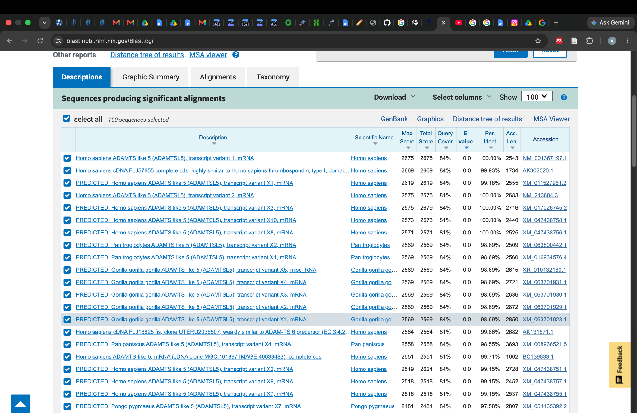 NCBI BLAST table of matching sequences