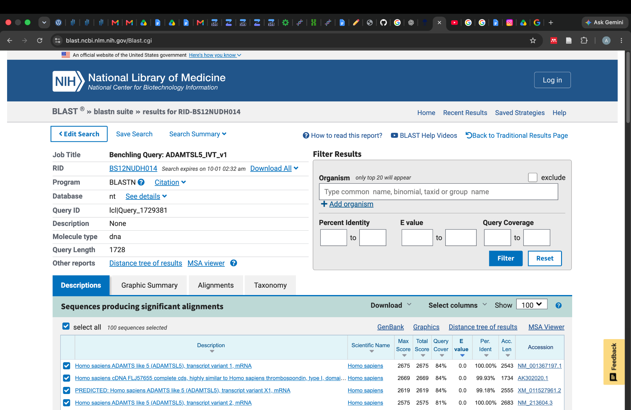 NCBI BLAST summary for the complete construct