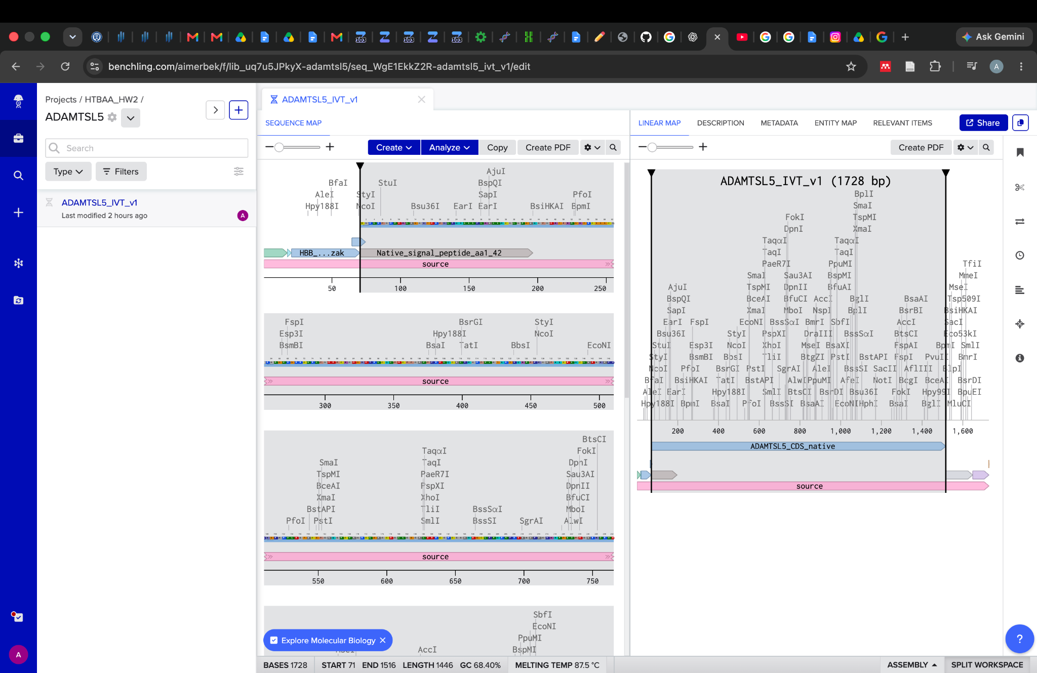 Annotated linear construct in Benchling