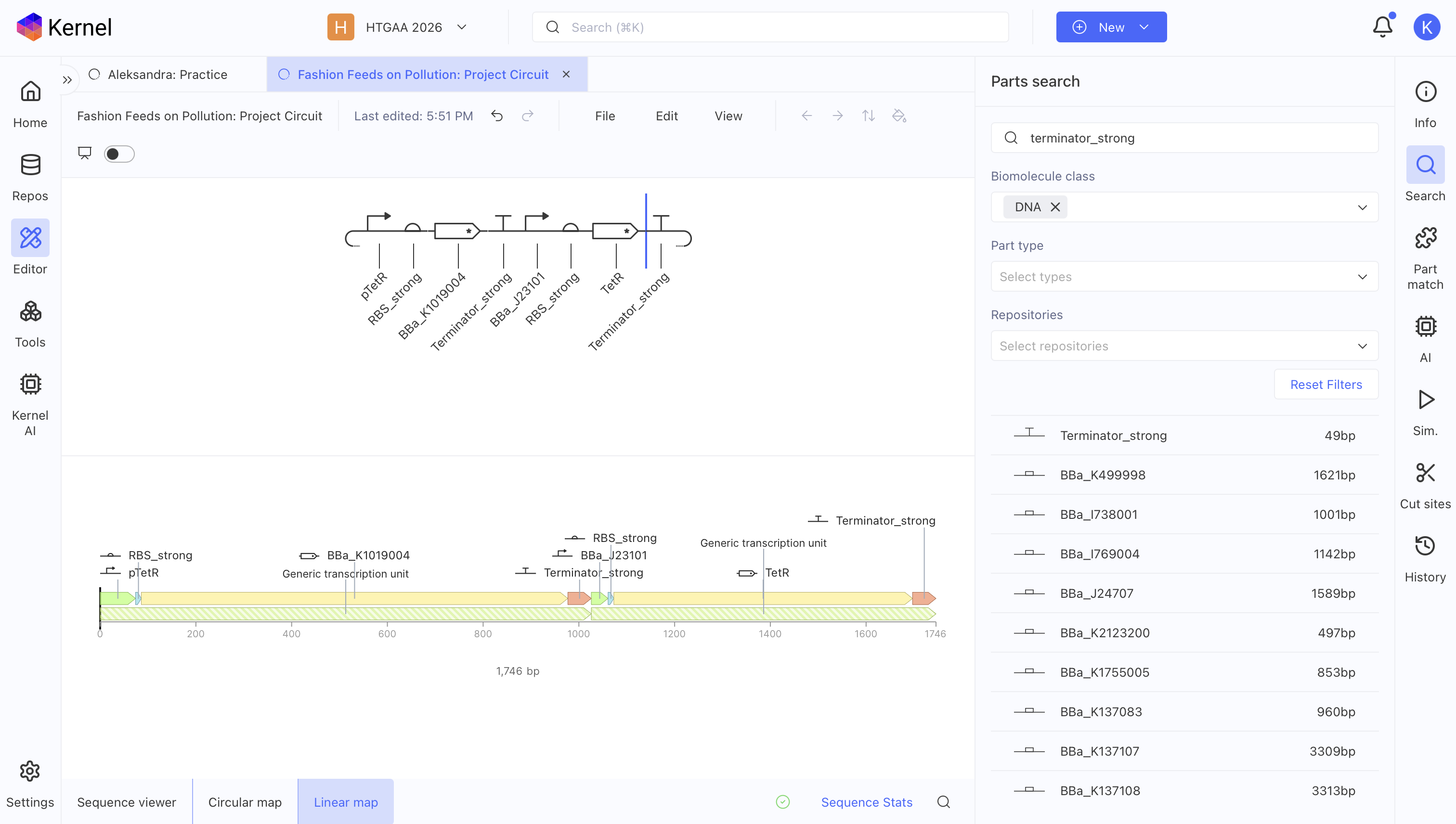 Completed genetic switch