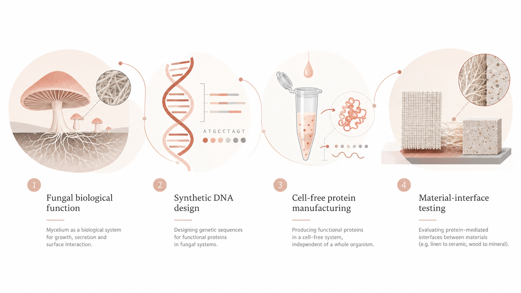 Fungal-Workflow