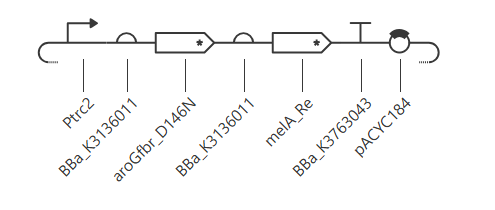 Linear schematic of the seven parts of pAC-aroGfbr-melA in 5' to 3' order