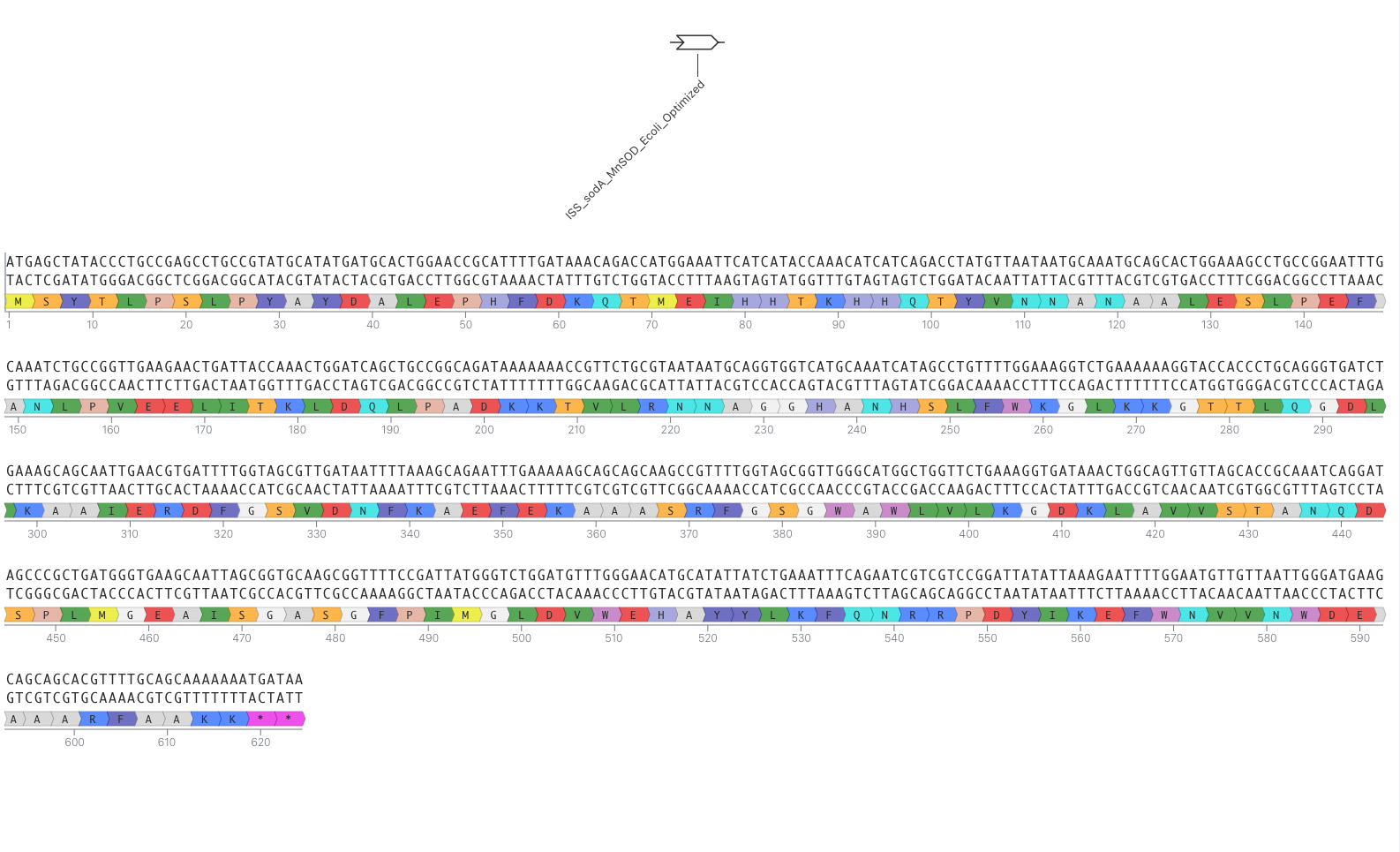 Kernel codon-optimized MnSOD CDS