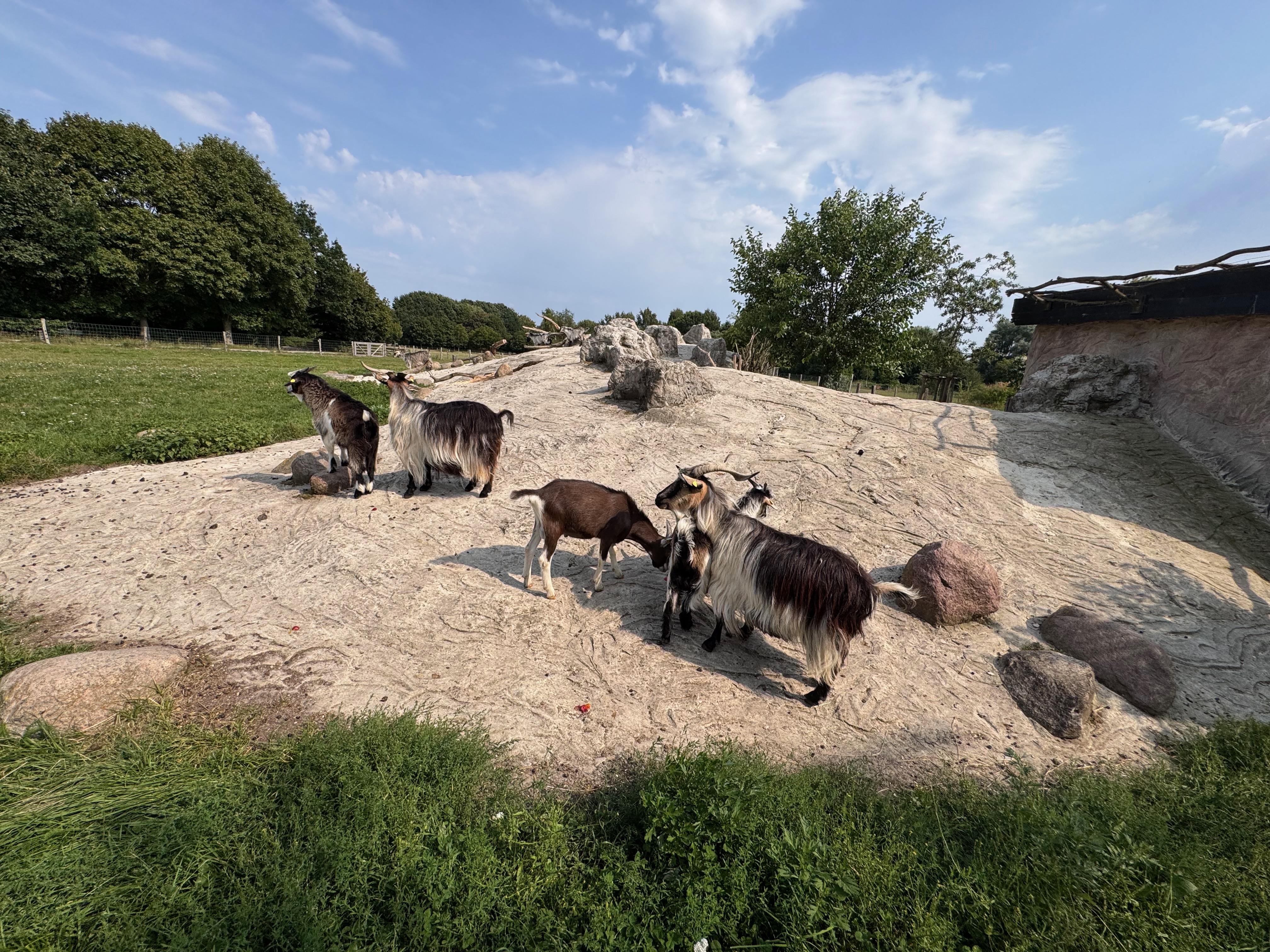 Arche-Warder-Landschaftstier-Park