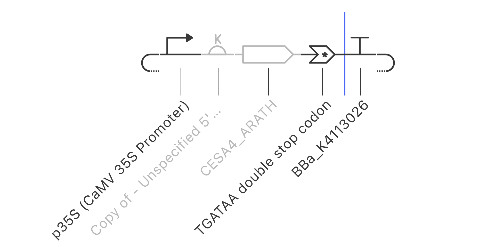 kernel sequence