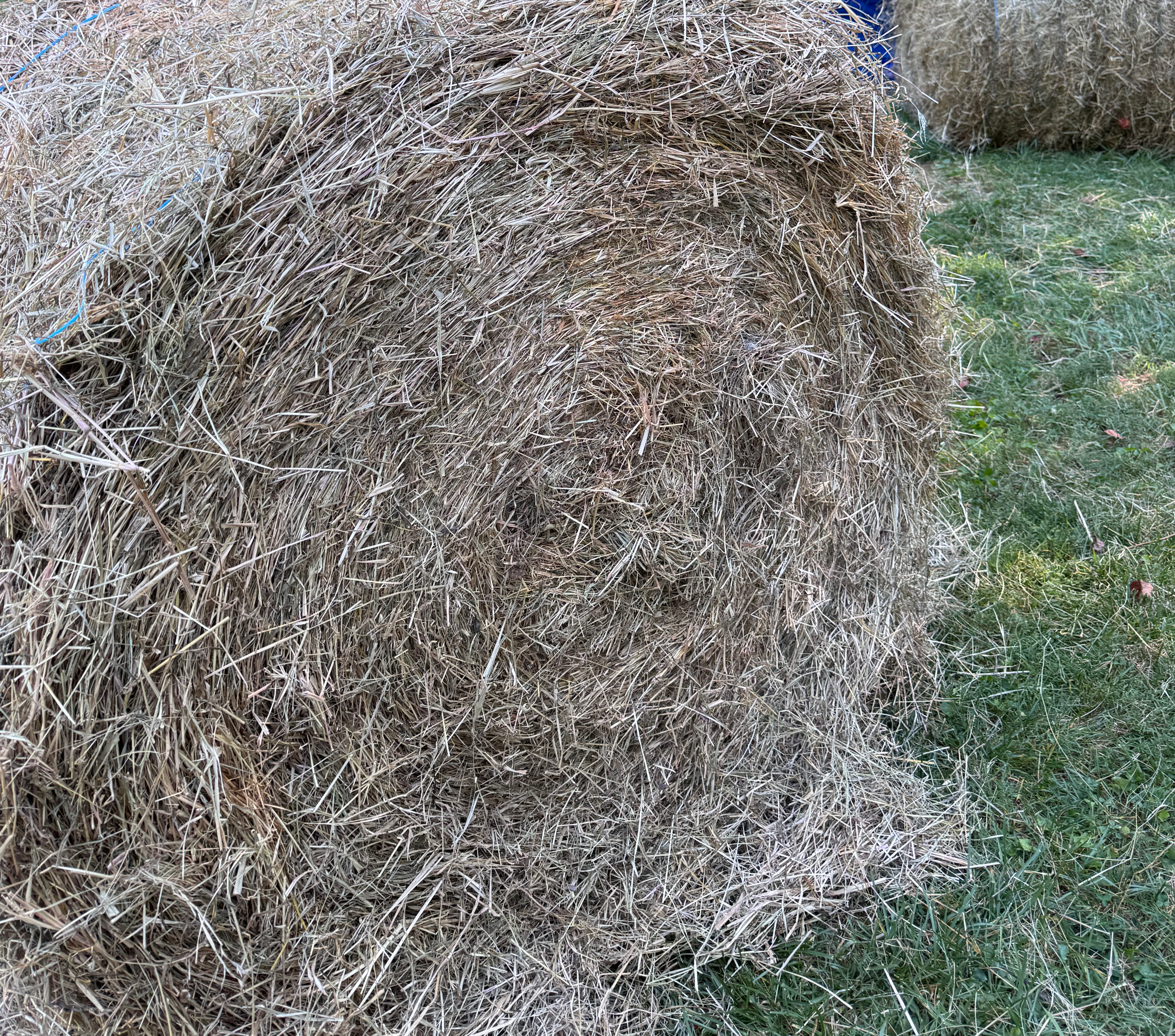 Input Hay Bale
