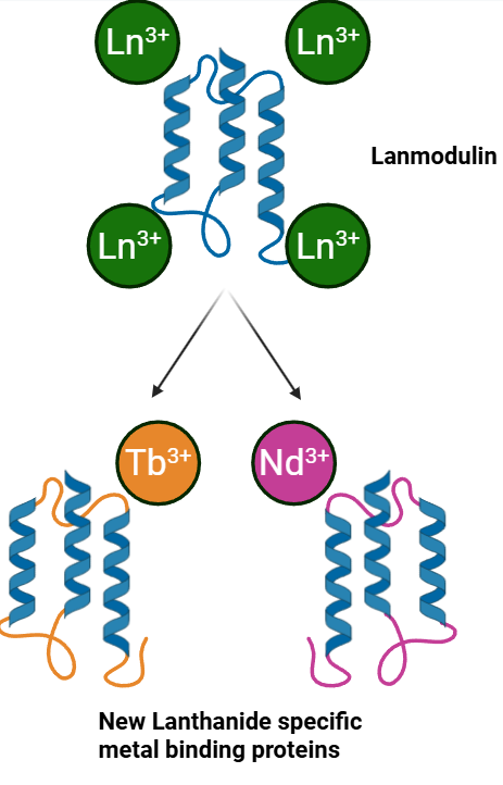 Biomining