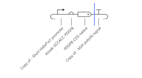 P3-SCHEMATIC Construct schematic with labeled parts