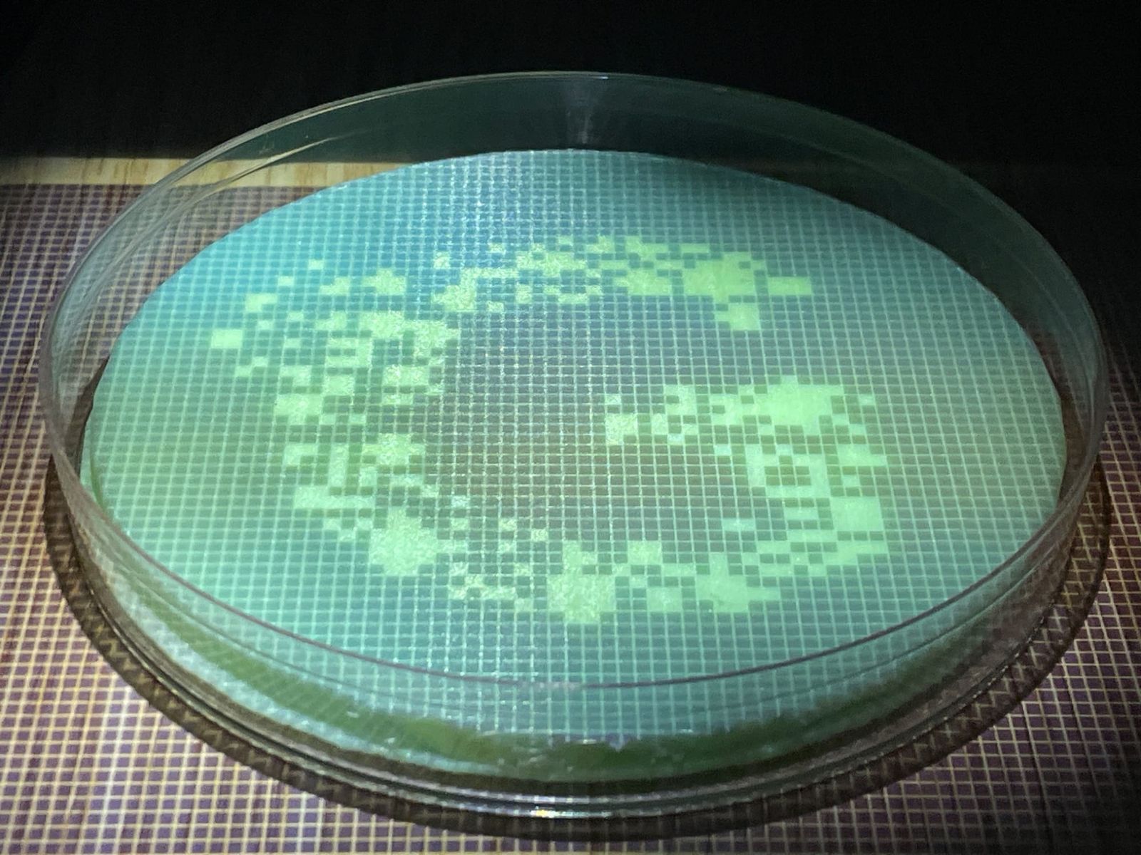 Photoplasm projecting image on plate