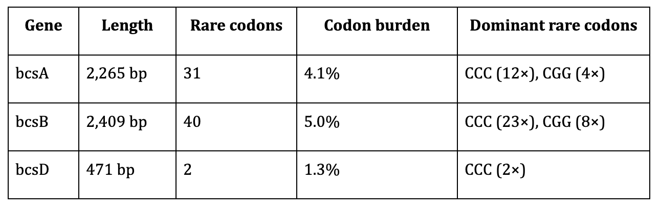 Codon Optimization