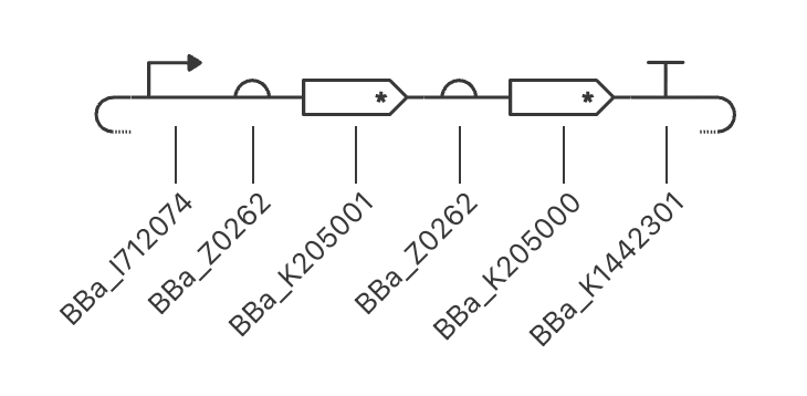 helper_plasmid image