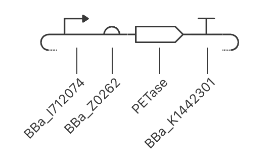 PETase image