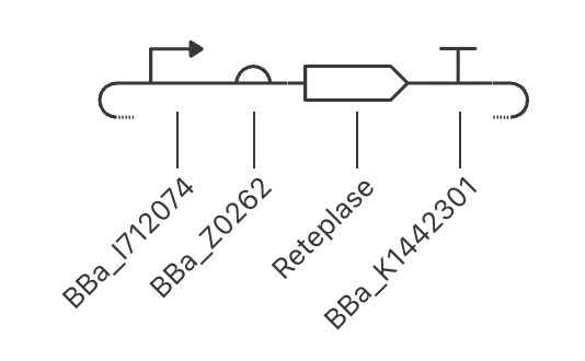 Reteplase image