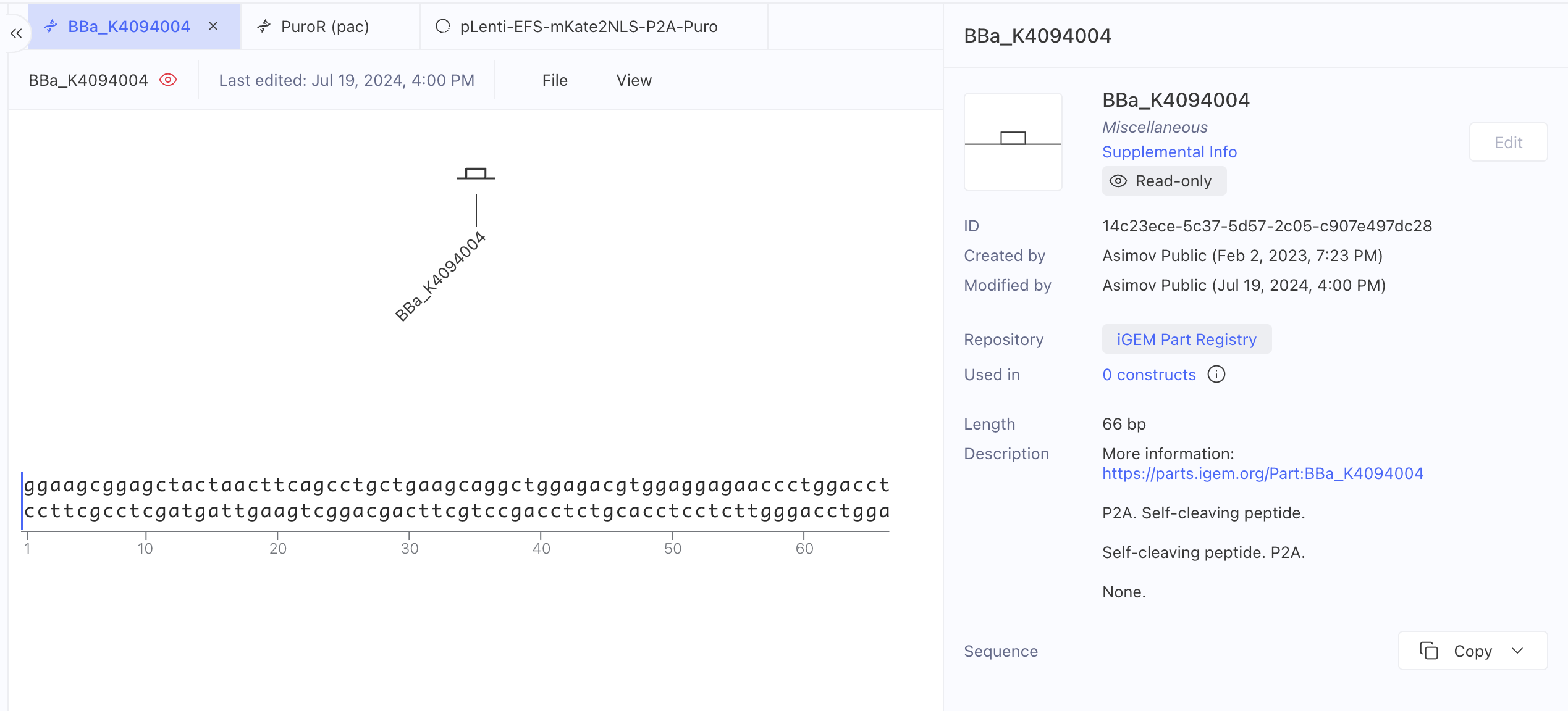 Kernel reporting an exact match of GSG-P2A to iGEM Registry part BBa_K4094004