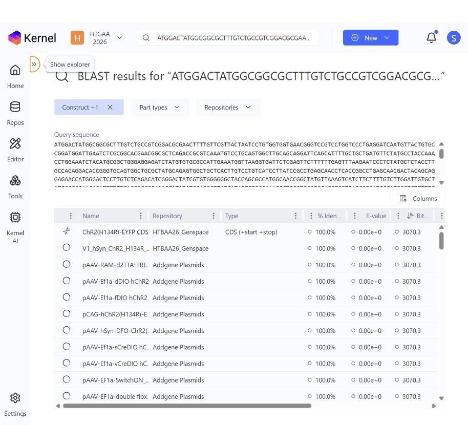 Kernel BLAST results showing full identity matches to the source coding sequence