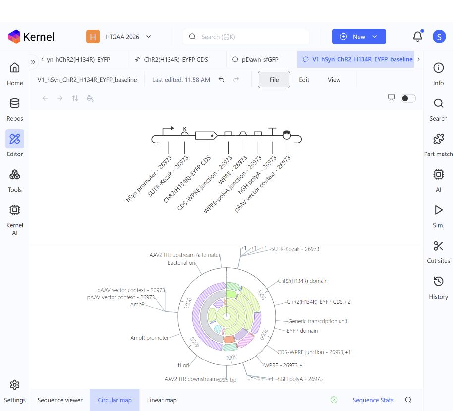 Saved V1 schematic with all eight linked parts and its circular plasmid map
