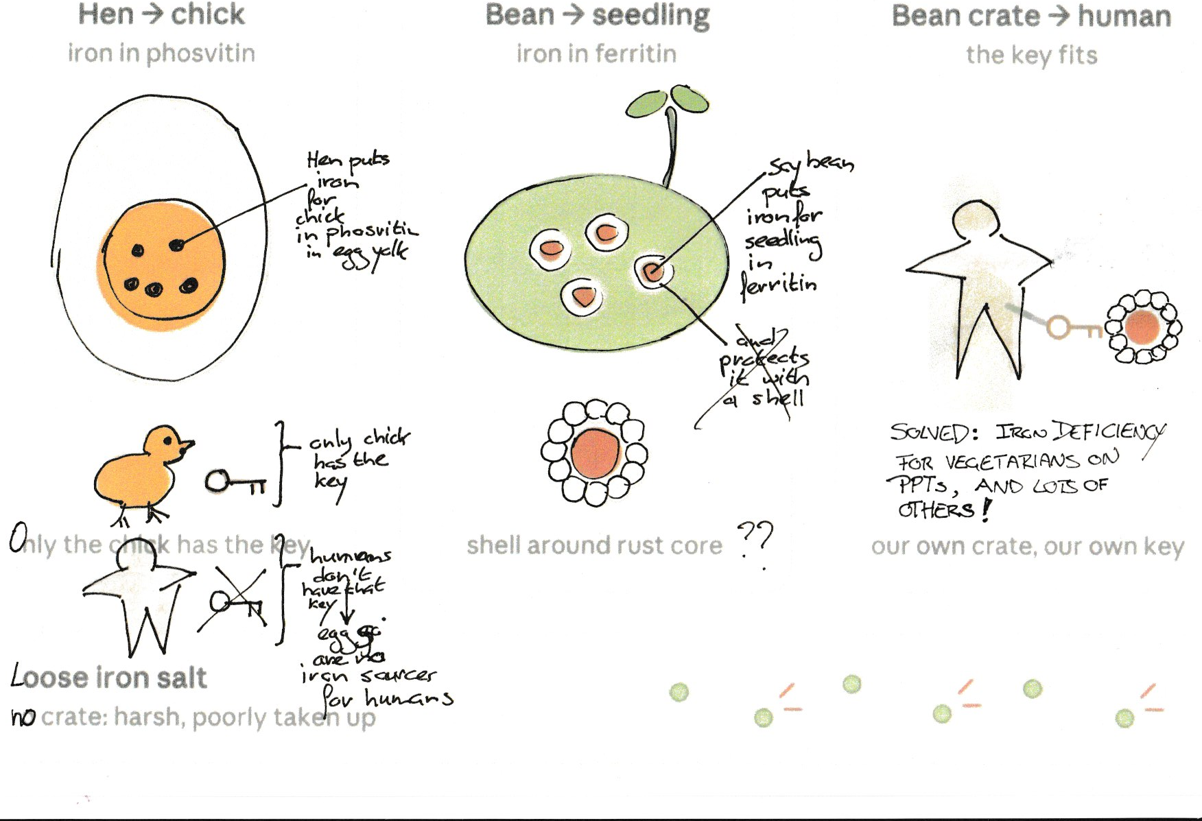 Here comes my Core idea drawing