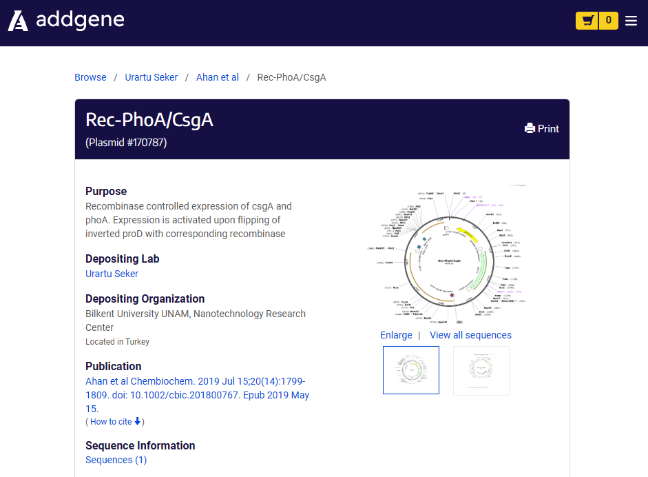 Rec-PhoA/CsgA on Addgene (#170787)