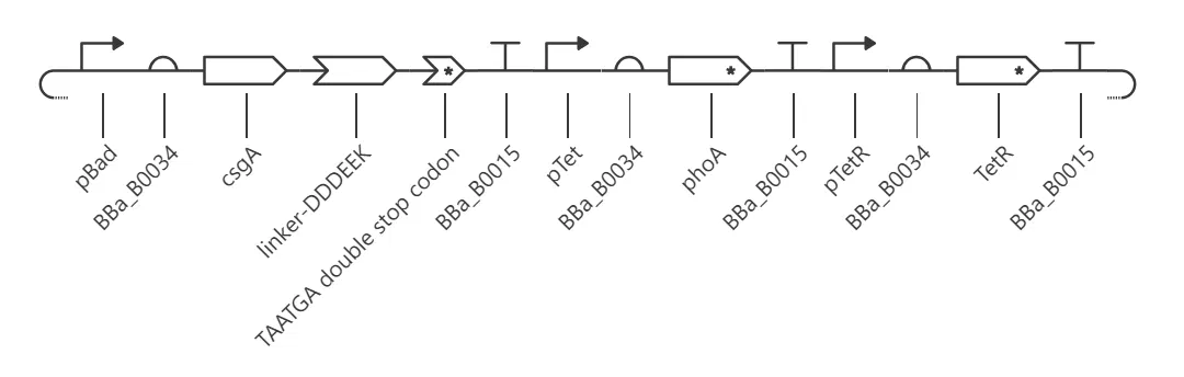 Circuit map, first attempt