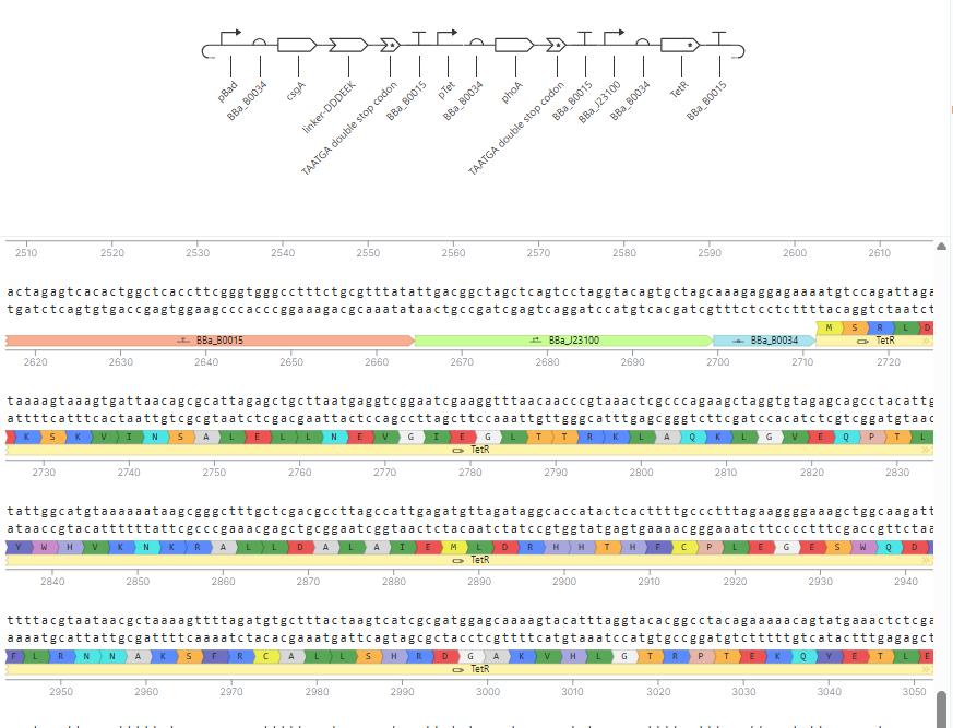 Fixed construct, annotated sequence